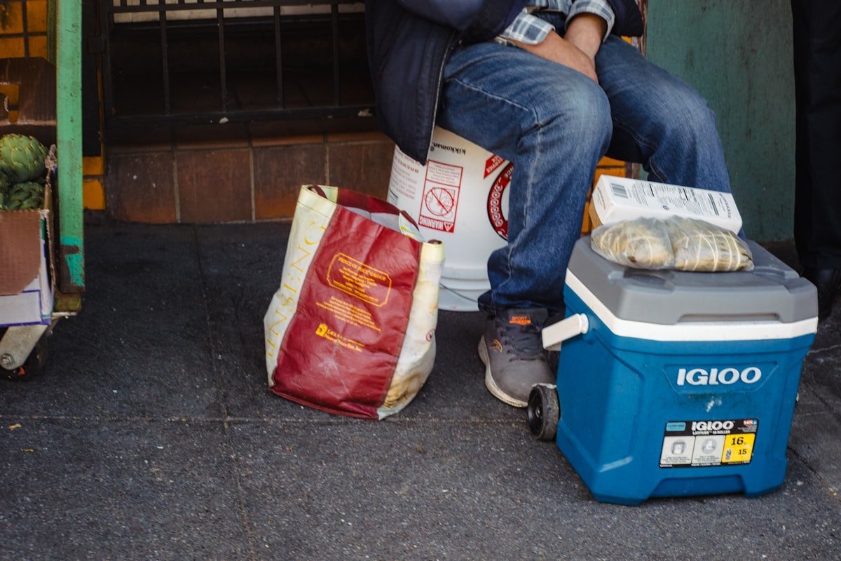 Blue soft cooler bag beside an outdoor picnic